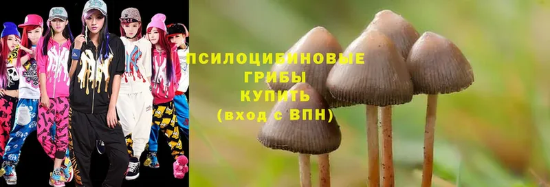 Цена Егорьевск Галлюциногенные грибы  A PVP  LSD-25  Меф мяу мяу  Бошки Шишки  Cocaine  Амфетамин 